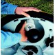 Robomow RL850